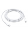 apple Kabel USB-C TO LIGHTNING (2M) - nr 5