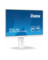 iiyama Monitor 24 cale XUB2497HSN-W1 IPS,USB-C Dock,HDMI,DP - nr 10