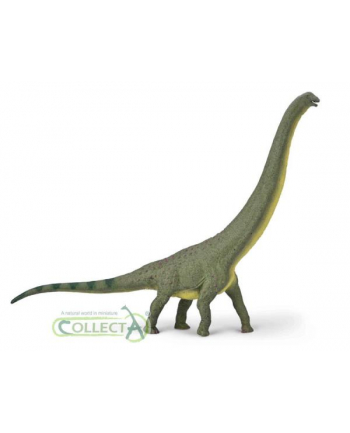 Dinozaur Dreadnoughutus 1:100 80005 COLLECTA