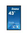 iiyama Monitor 43 cale TF4339AS-B1AG,IPS,4K,HDMIx2,DP,RJ45,3xUSB,40pkt,      ANDROID,24/7 - nr 50