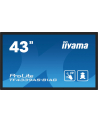 iiyama Monitor 43 cale TF4339AS-B1AG,IPS,4K,HDMIx2,DP,RJ45,3xUSB,40pkt,      ANDROID,24/7 - nr 52