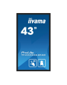 iiyama Monitor 43 cale TF4339AS-B1AG,IPS,4K,HDMIx2,DP,RJ45,3xUSB,40pkt,      ANDROID,24/7 - nr 54
