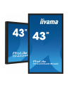 iiyama Monitor 43 cale TF4339AS-B1AG,IPS,4K,HDMIx2,DP,RJ45,3xUSB,40pkt,      ANDROID,24/7 - nr 56