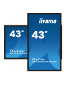 iiyama Monitor 43 cale TF4339AS-B1AG,IPS,4K,HDMIx2,DP,RJ45,3xUSB,40pkt,      ANDROID,24/7 - nr 58