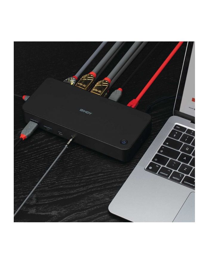 Lindy Stacja/replikator NB ACC Docking USB C/A Hybrid (43366) główny