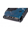 Synology HDD Plus Series (12TB; 35'';; SATA) HAT3310-12T - nr 4