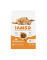 IAMS Proactive Health Adult - sucha karma dla kota - 10 kg - nr 1