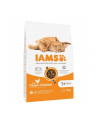 IAMS Proactive Health Adult - sucha karma dla kota - 10 kg - nr 2