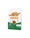 IAMS Vitality cat adult lamb - sucha karma dla kota - 10 kg - nr 2