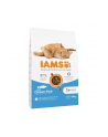 IAMS Vitality adult cat ocean fish - sucha karma dla kota - 10 kg - nr 1