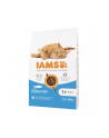 IAMS Vitality adult cat ocean fish - sucha karma dla kota - 10 kg - nr 2