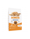 IAMS Vitality Sterilised - sucha karma dla kota - 10 kg - nr 1