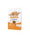 IAMS Vitality Sterilised - sucha karma dla kota - 10 kg - nr 2