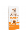 IAMS Vitality Adult Large - sucha karma dla psa - 12 kg - nr 1