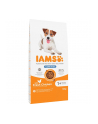 IAMS Vitality Adult Light in fat - sucha karma dla psa - 12 kg - nr 1