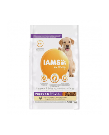 IAMS Vitality Puppy Large sucha - karma dla psa - 12 kg