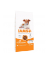 IAMS Puppy 'amp; Junior Small Medium sucha karma dla psa 12kg - nr 1