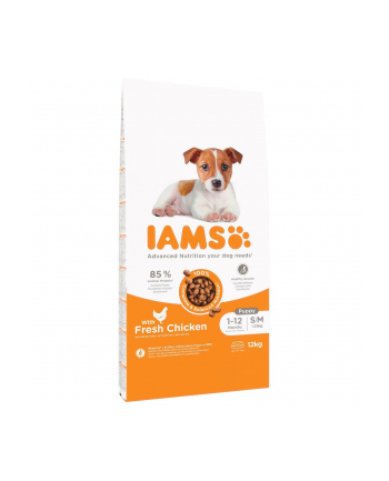 IAMS Puppy 'amp; Junior Small Medium sucha karma dla psa 12kg