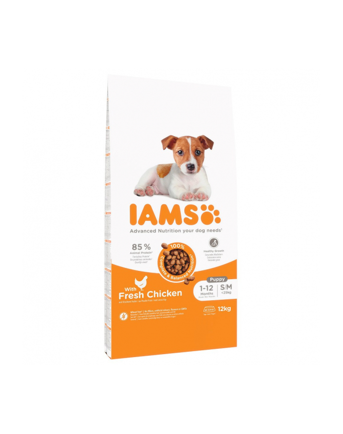 IAMS Puppy 'amp; Junior Small Medium sucha karma dla psa 12kg główny