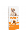 IAMS Vitality Dog Senior Large Chicken - sucha karma dla psa - 12 kg - nr 1