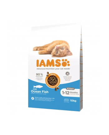 IAMS Kitten Ocean Fish - sucha karma dla kota - 10 kg