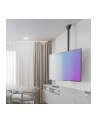 techly Uchwyt Sufitowy TV LED/LCD 32-55 cali 50kg 560-910 mm - nr 12
