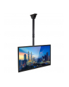 techly Uchwyt Sufitowy TV LED/LCD 32-55 cali 50kg 560-910 mm - nr 7