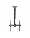 techly Uchwyt Sufitowy TV LED/LCD 32-55 cali 50kg 560-910 mm - nr 8