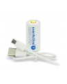 everactive Akumulator 16340 3V Li-ion 700 mAh micro USB - nr 8