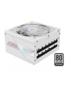 GIGABYTE AORUS ELITE P850W 80+ Platinm Modular ICE PSU - nr 10