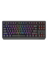 Genesis Thor 230 TKL Czarna RGB Outemu Silent Lemon (NKG2108) - nr 16