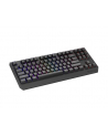 Genesis Thor 230 TKL Czarna RGB Outemu Silent Lemon (NKG2108) - nr 29