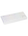 Genesis Thor 230 TKL US RGB Outemu Red Biały (NKG2165) - nr 26