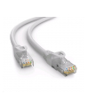 C-Tech Kabel Patchcord Cat6E, Utp, biały, 50M (CBPP650) - nr 1