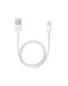 Apple Lightning - USB 2m Biały MD819 - nr 2