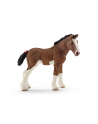 schleich SLH źrebię rasy Clydesdale 13810 16111 - nr 1