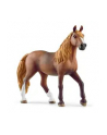 schleich SLH klacz rasy Paso Peruano 13953 63979 - nr 1