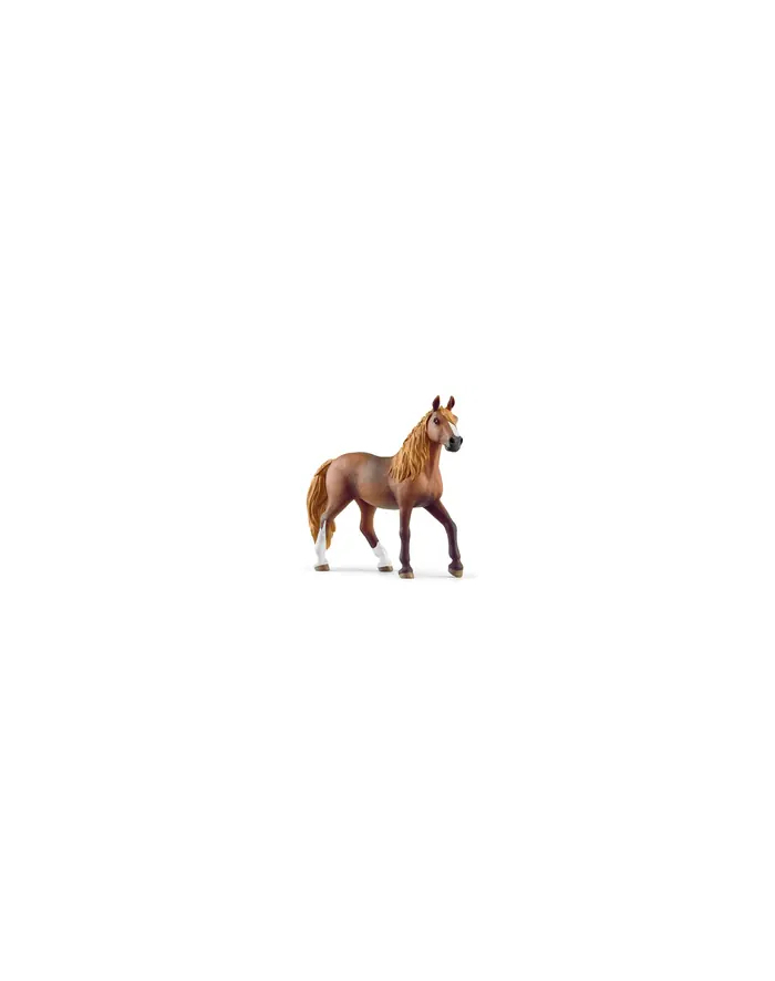 schleich SLH klacz rasy Paso Peruano 13953 63979 główny