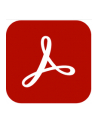 Adobe Acrobat Standard 2020 - nr 1