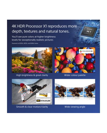 Sony 65'' Professional BRAVIA LCD 700nit Haze display with BRAVIA Supervisor