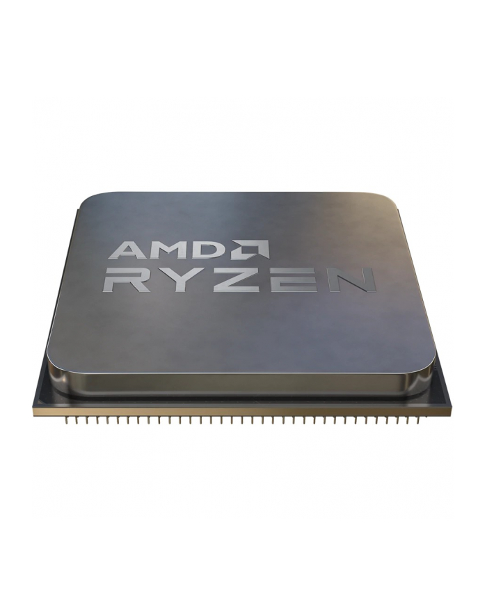 AMD AMD Ryzen 5 4600G główny