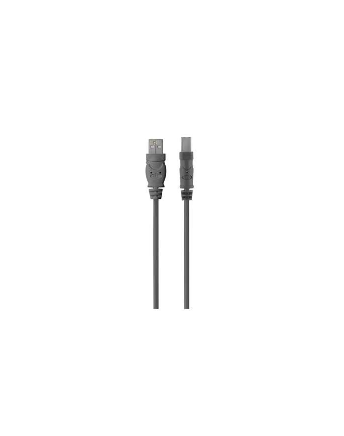 belkin USB A/B CABLE A/B 4.8M/BLACK główny