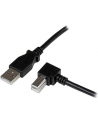 startech 3M RIGHT ANGLE USB B CABLE/. - nr 18