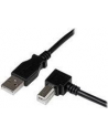 startech 3M RIGHT ANGLE USB B CABLE/. - nr 19
