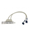 startech 2 PORT USB SLOT PLATE ADAPTER/. - nr 6