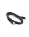 zebra KIT USB TYPE A TO TYPE C CABLE/. - nr 1
