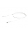 startech USB C TO LIGHTNING CABLE/. - nr 13