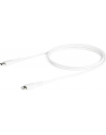 startech USB C TO LIGHTNING CABLE/. - nr 19