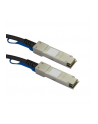 startech 10M 10G SFP+ ACTIVE DAC CABLE/. - nr 1