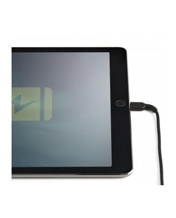 startech 15CM USB TO LIGHTNING CABLE/